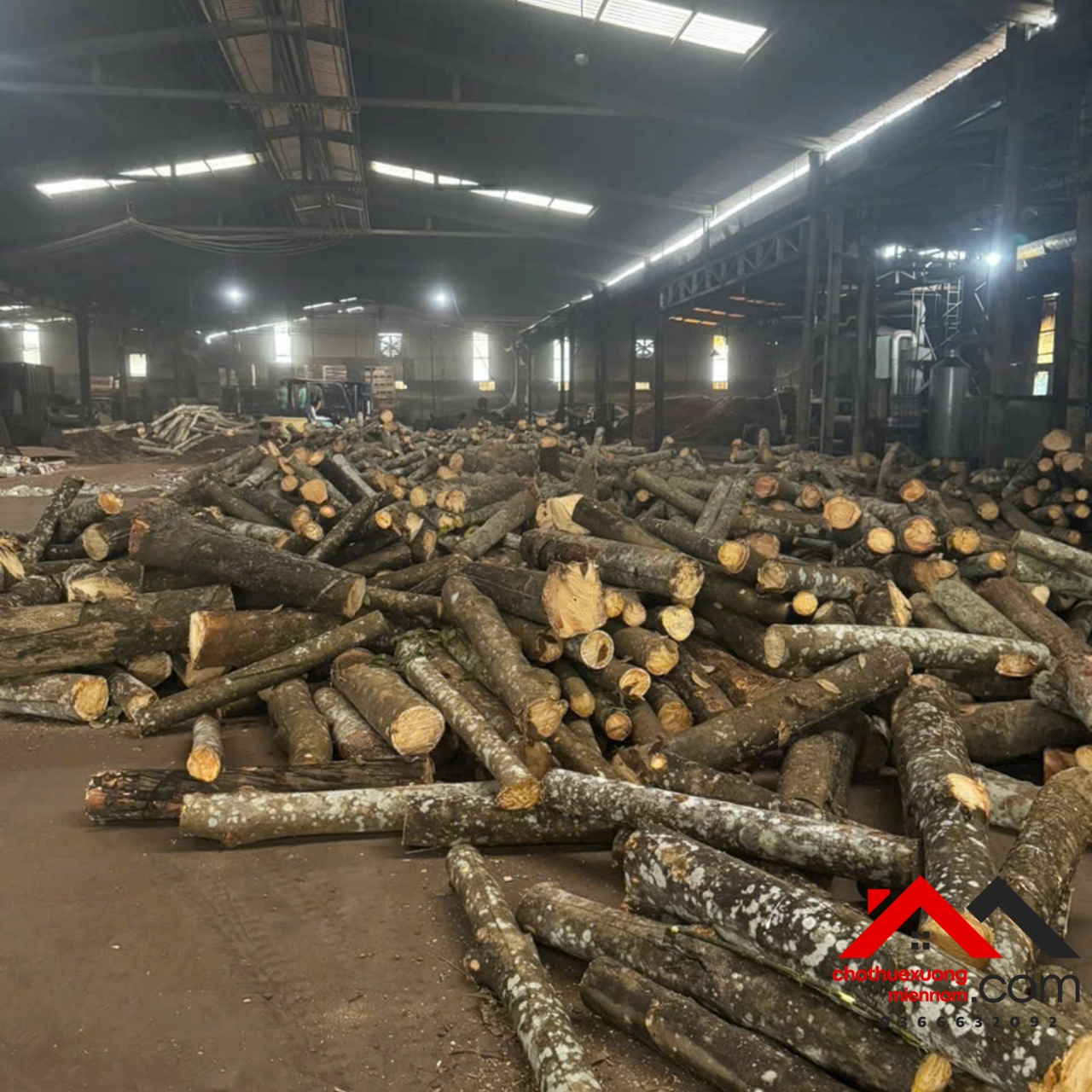 Cho thuê xưởng 3.500m² PCCC vách tường, gần KCN VSIP 3, đường container, Bình Mỹ – Bắc Tân Uyên - Ảnh 2